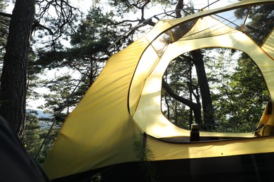 Modern camping tent in forest at summer, low angle view