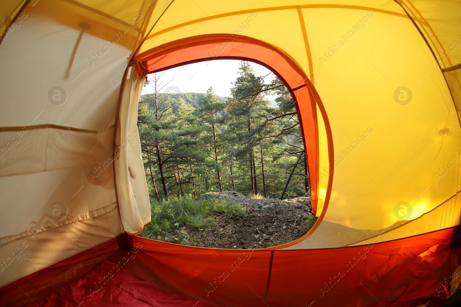 Photo of Modern camping tent in wilderness at summer, view on forest through window