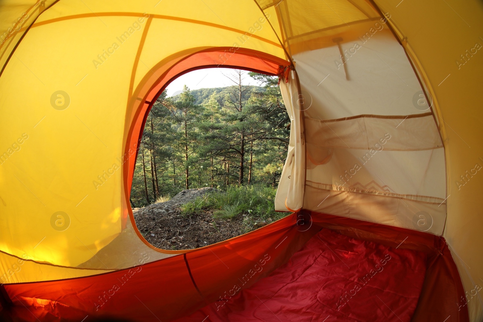 Photo of Modern camping tent in wilderness at summer, view on forest through window