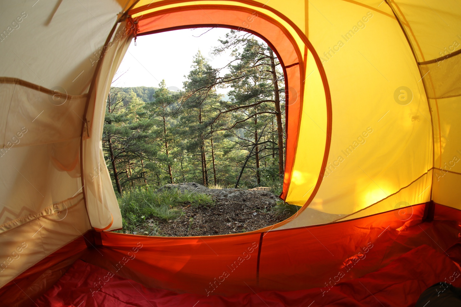 Photo of Modern camping tent in wilderness at summer, view on forest through window