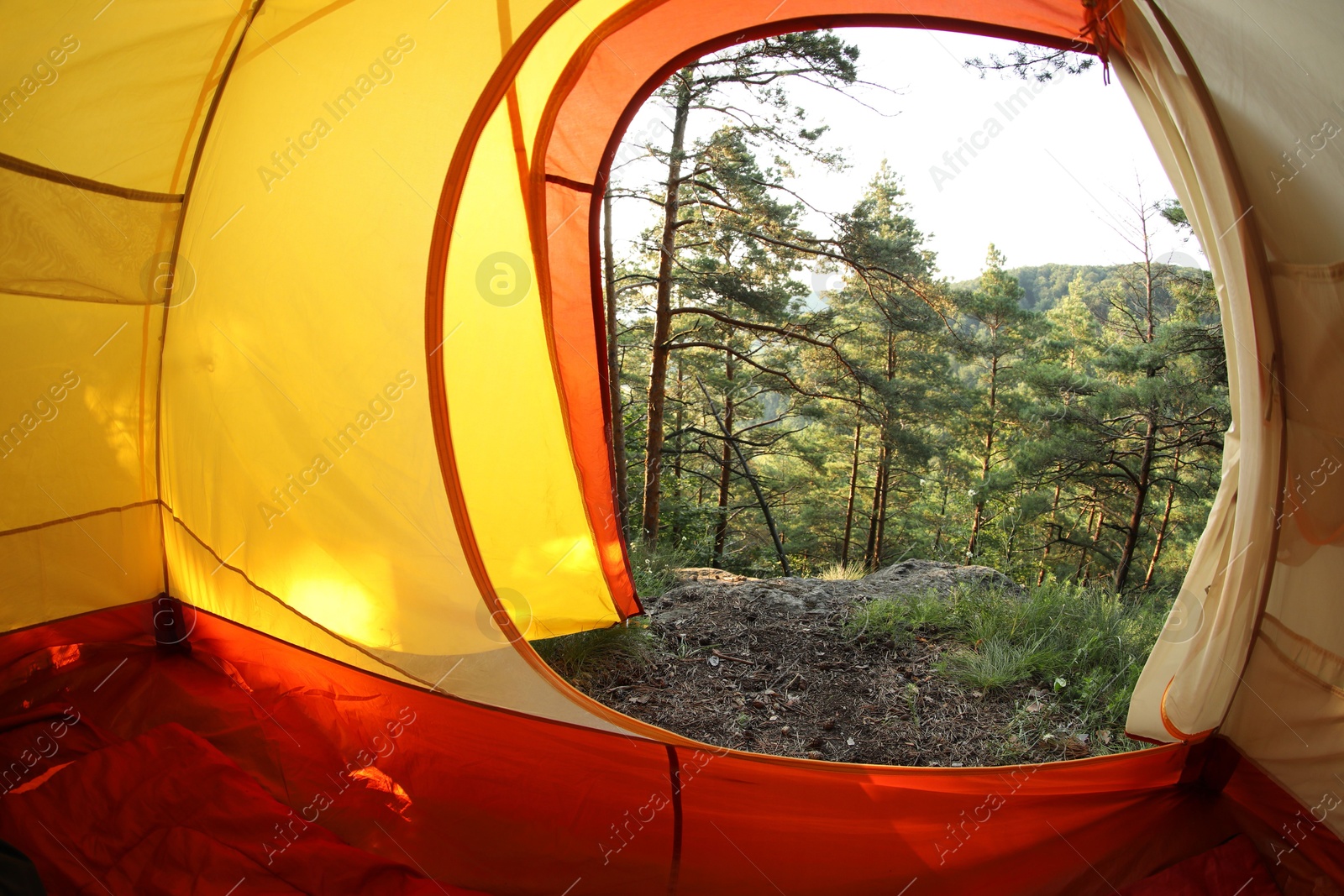 Photo of Modern camping tent in wilderness at summer, view on forest through window