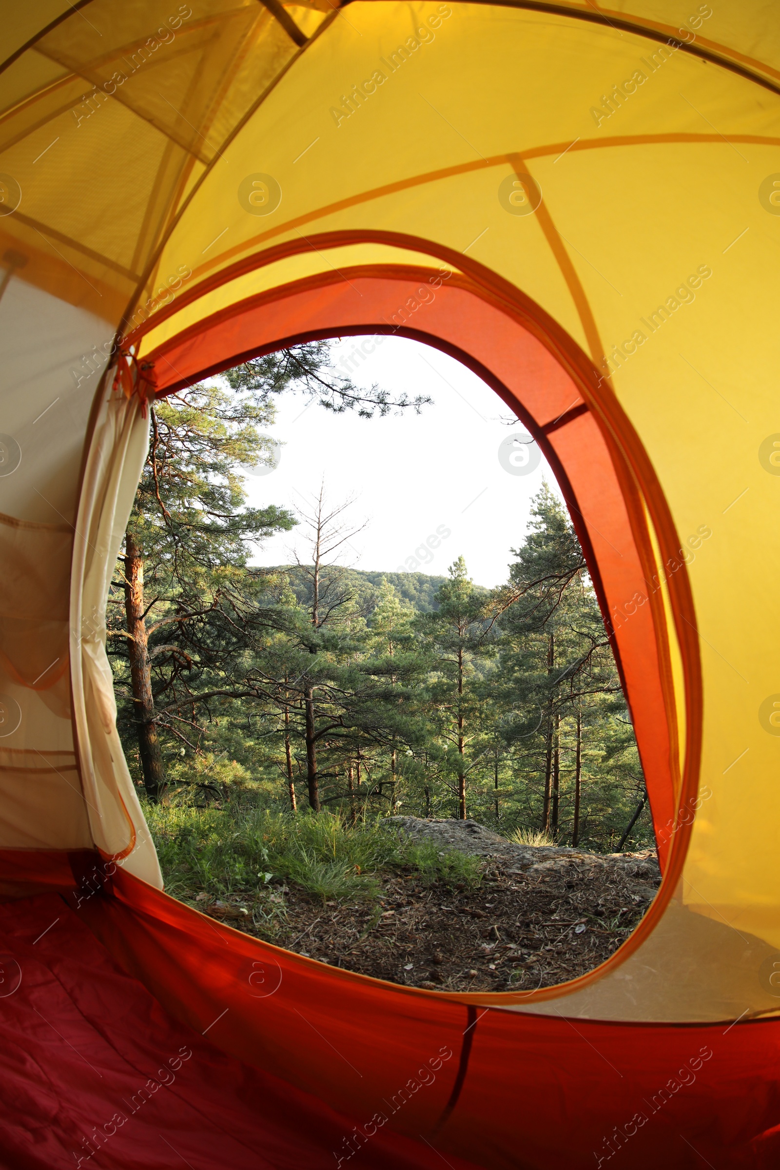 Photo of Modern camping tent in wilderness at summer, view on forest through window