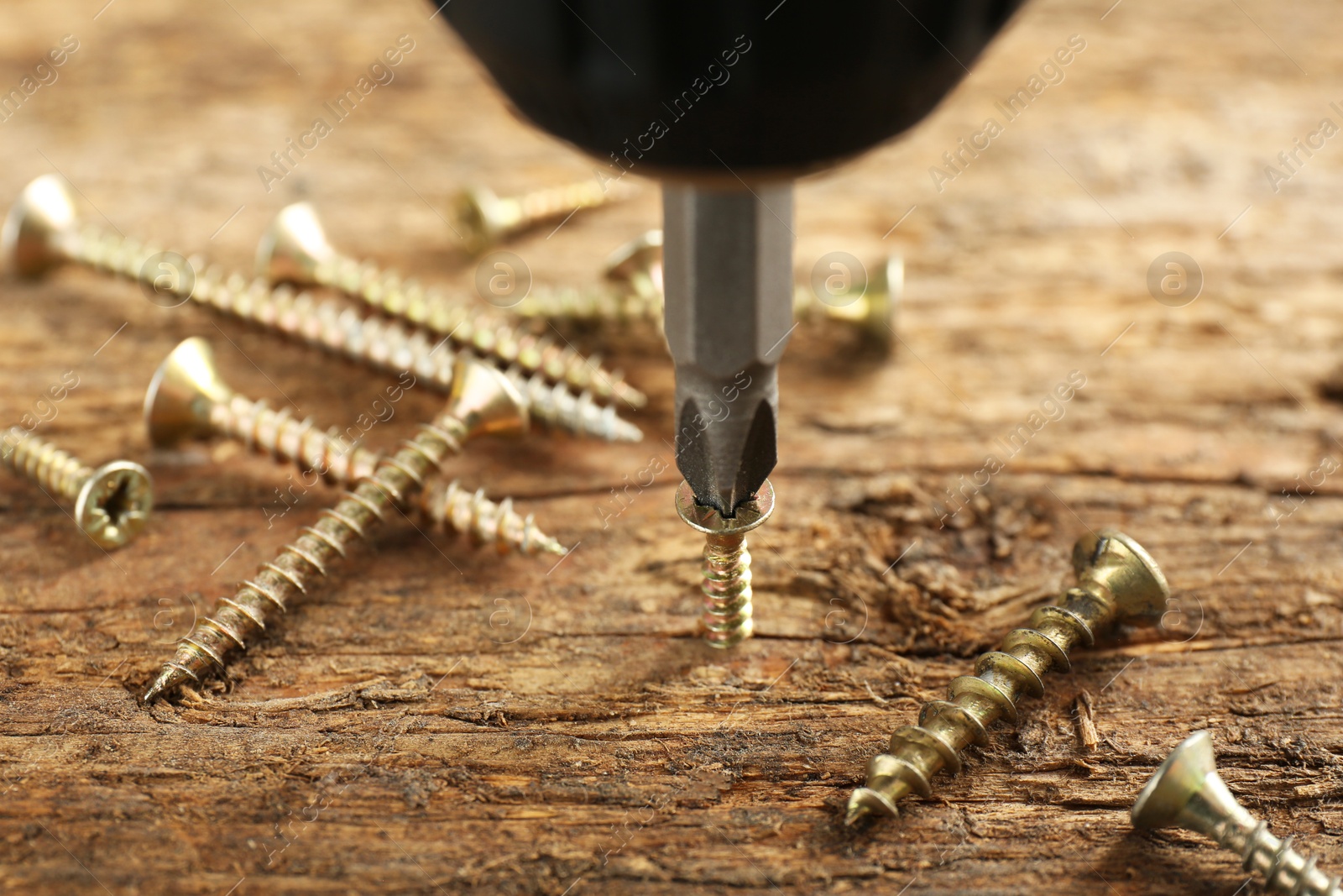 Photo of Screwing screw into wooden surface, closeup view