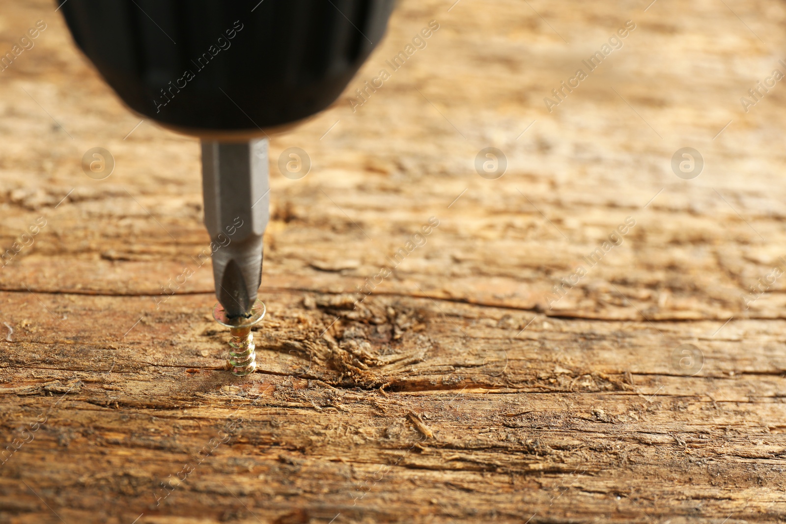 Photo of Screwing screw into wooden surface, closeup. Space for text