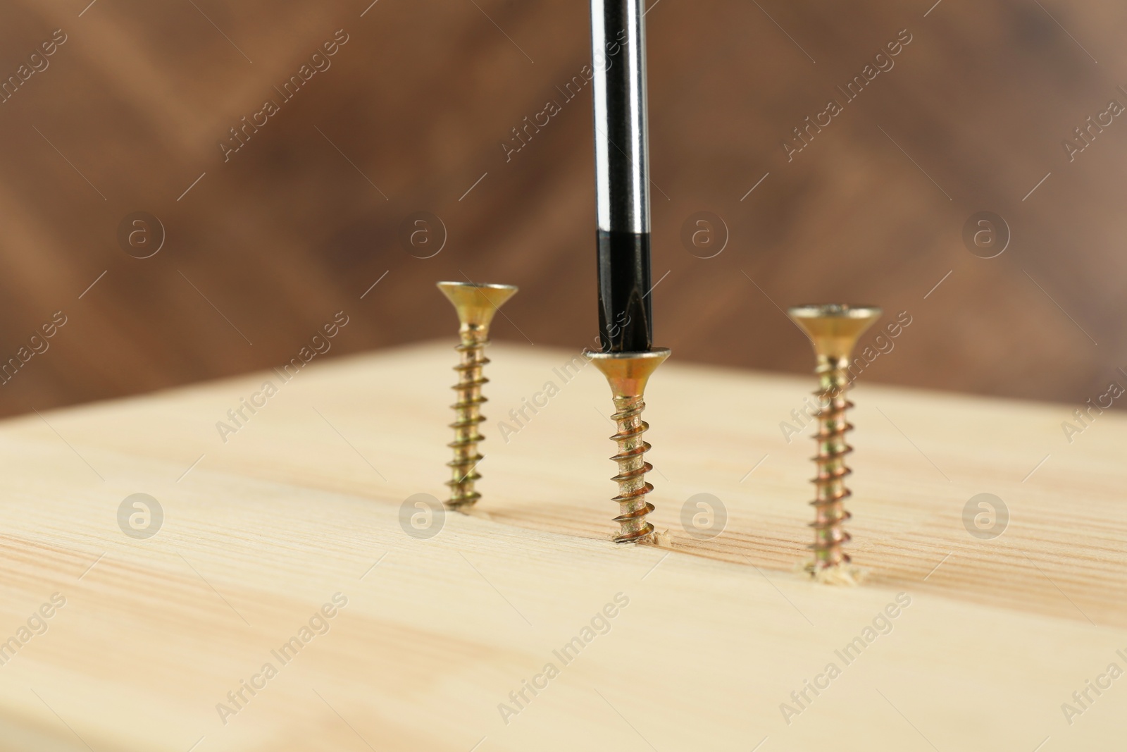 Photo of Screwing screw into wooden plank, closeup view