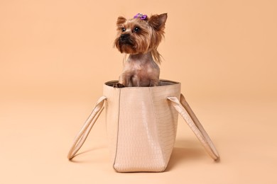 Photo of Cute Yorkshire Terrier dog in bag on beige background