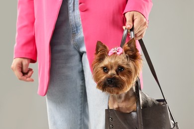 Woman carrying cute Yorkshire Terrier dog in bag on grey background, closeup