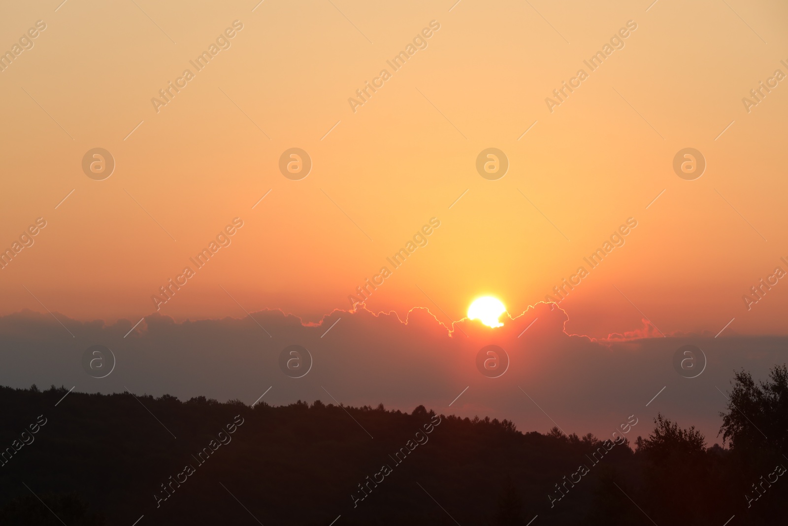 Photo of Beautiful view of sky over meadow at sunrise in morning