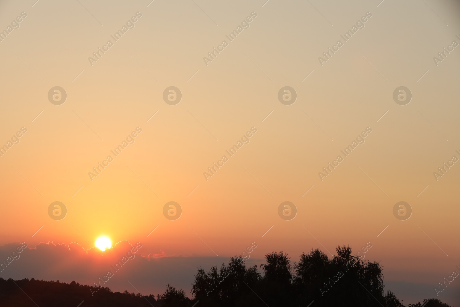 Photo of Beautiful view of sky over meadow at sunrise in morning