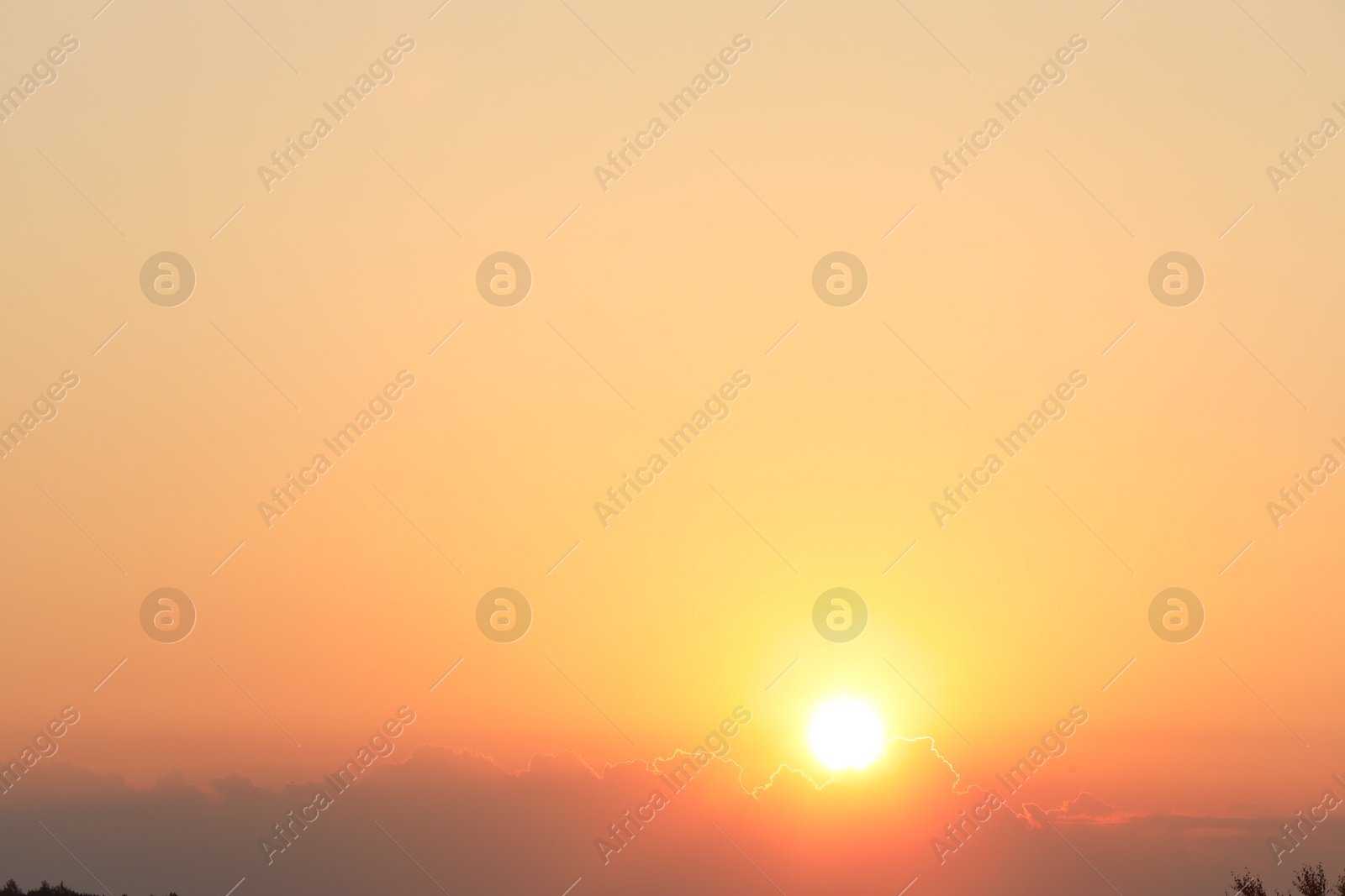 Photo of Beautiful view of sky at sunrise in morning