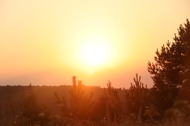 Beautiful view of sky over meadow at sunrise in morning