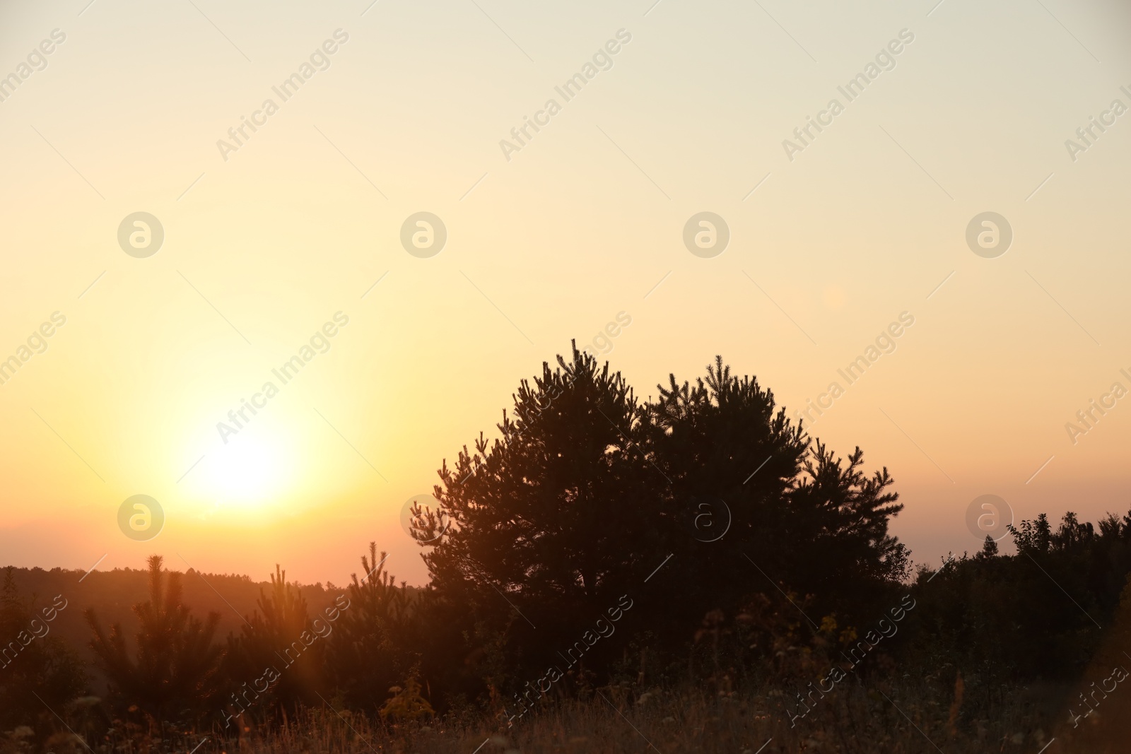 Photo of Beautiful view of sky over meadow at sunrise in morning