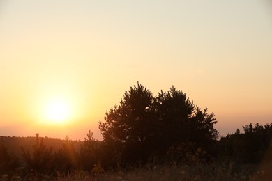 Photo of Beautiful view of sky over meadow at sunrise in morning