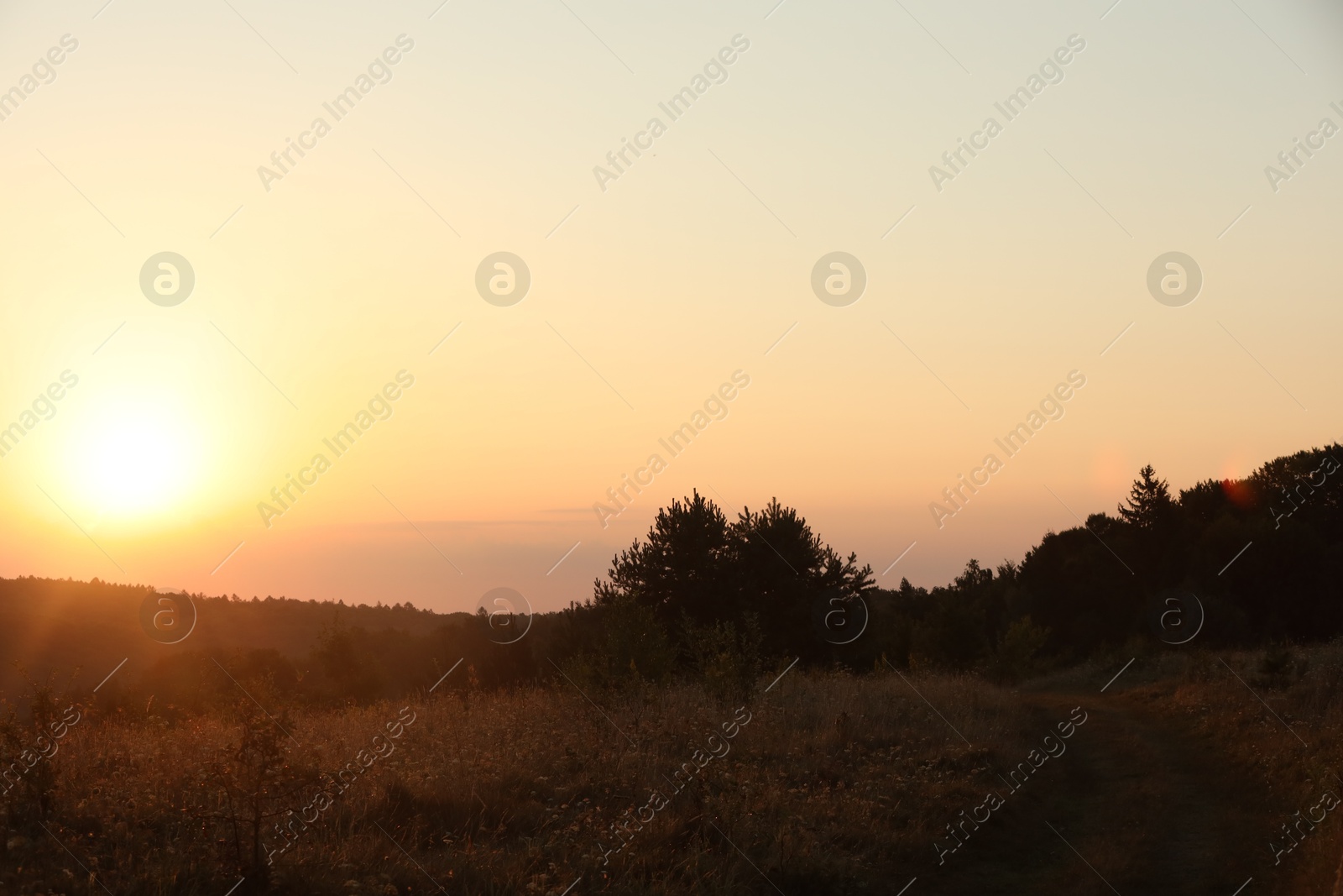 Photo of Beautiful view of sky over meadow at sunrise in morning