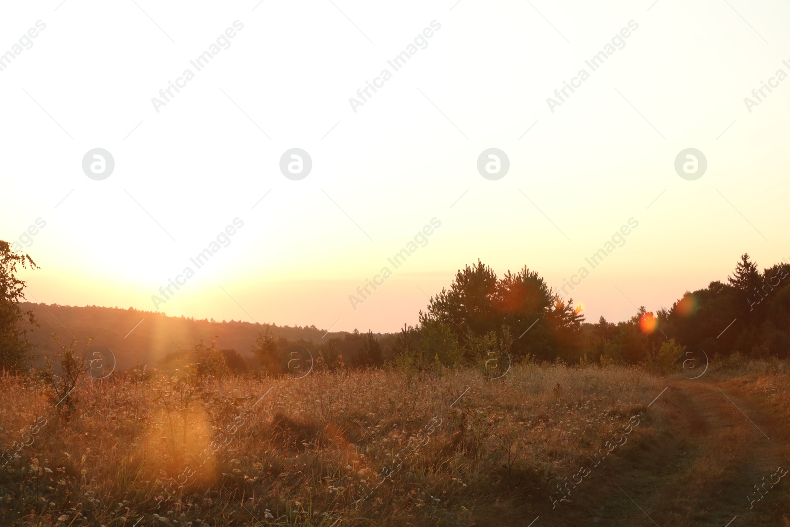 Photo of Beautiful view of sky over meadow at sunrise in morning