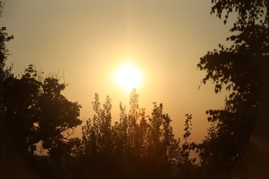 Beautiful view of sky over trees at sunrise in morning