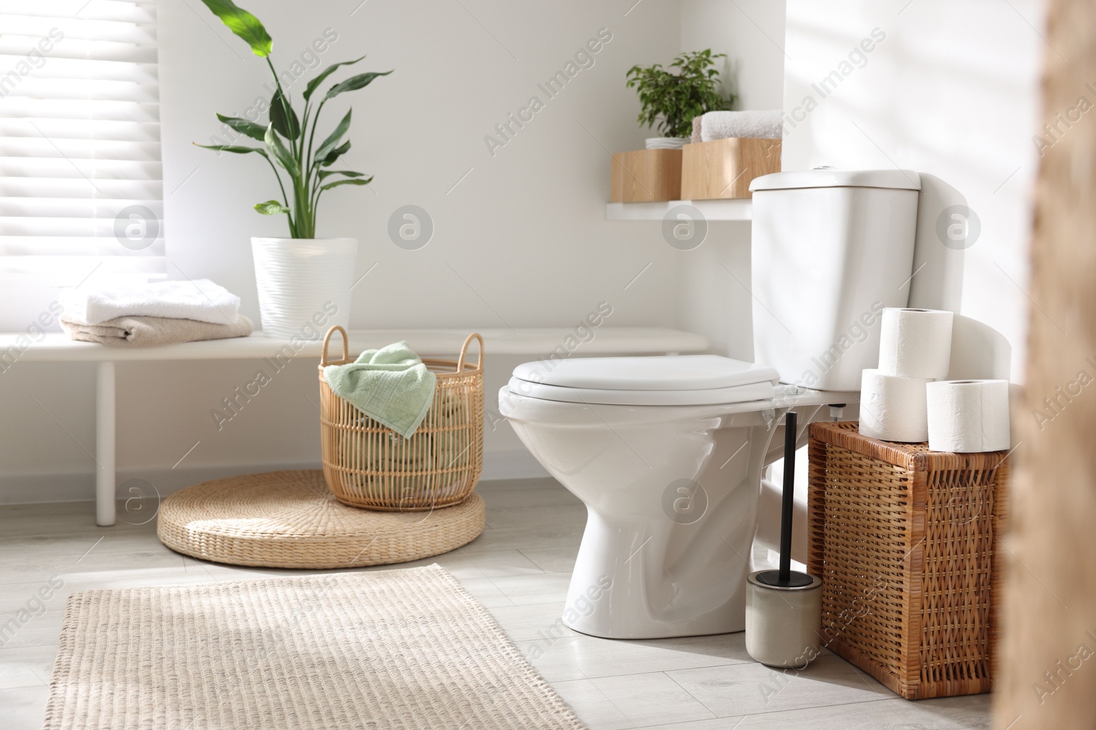 Photo of White toilet bowl, paper rolls and houseplants in bathroom