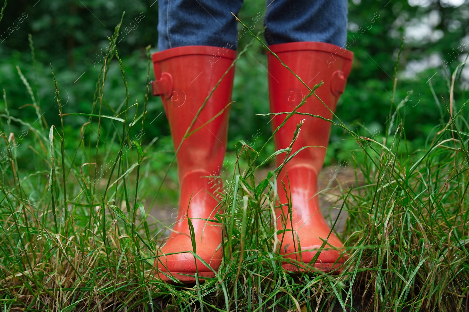 Photo of Woman in red rubber boots standing on green grass, closeup