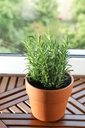 Photo of Aromatic rosemary plant in pot on wooden table near window indoors