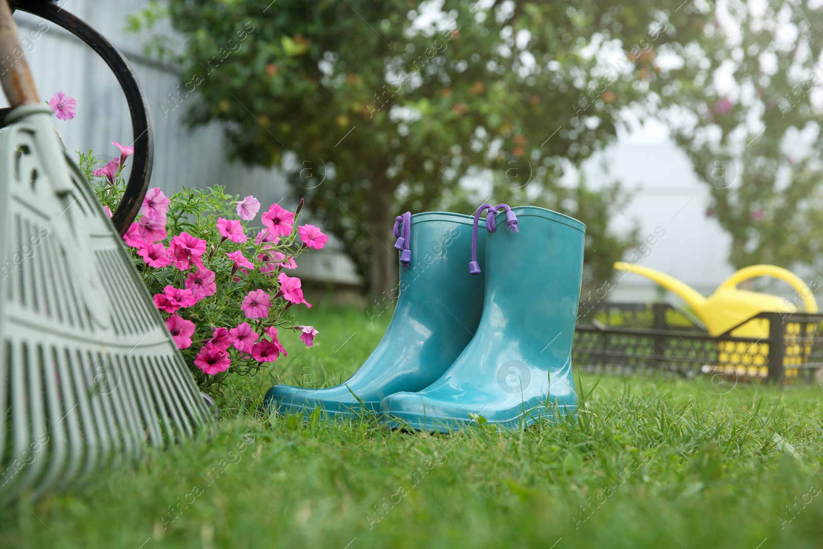 Photo of Rubber boots, gardening tools and petunia flowers on green grass outdoors