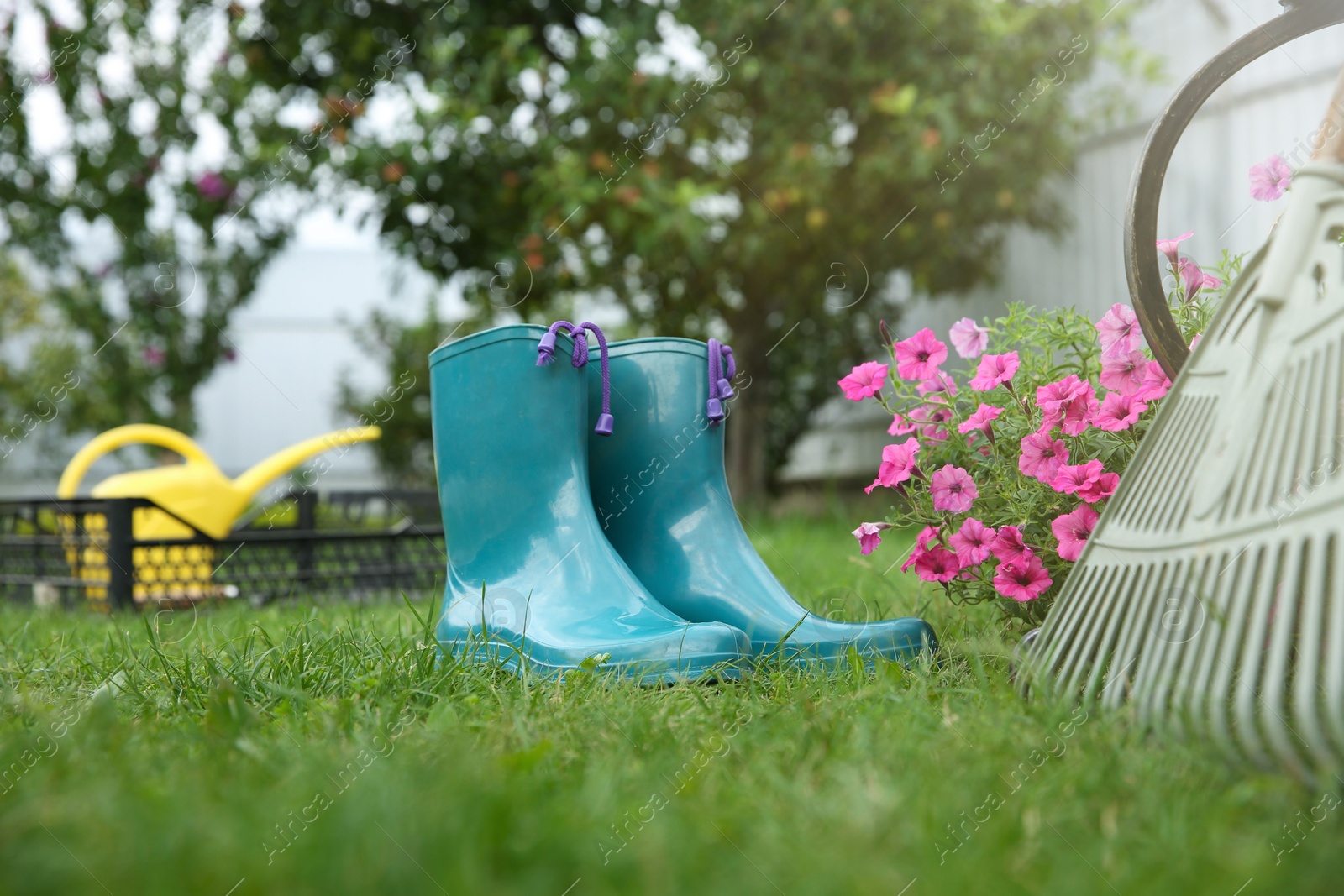 Photo of Rubber boots, gardening tools and petunia flowers on green grass outdoors