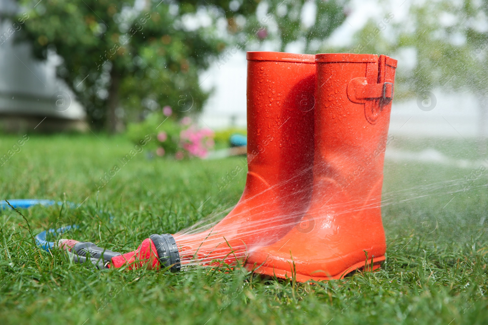 Photo of Orange rubber boots under water pressure on green grass outdoors