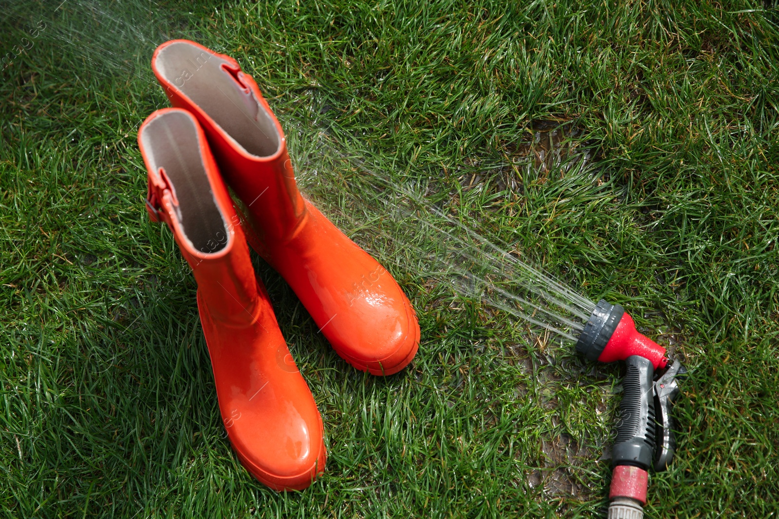 Photo of Orange rubber boots under water pressure on green grass outdoors, top view