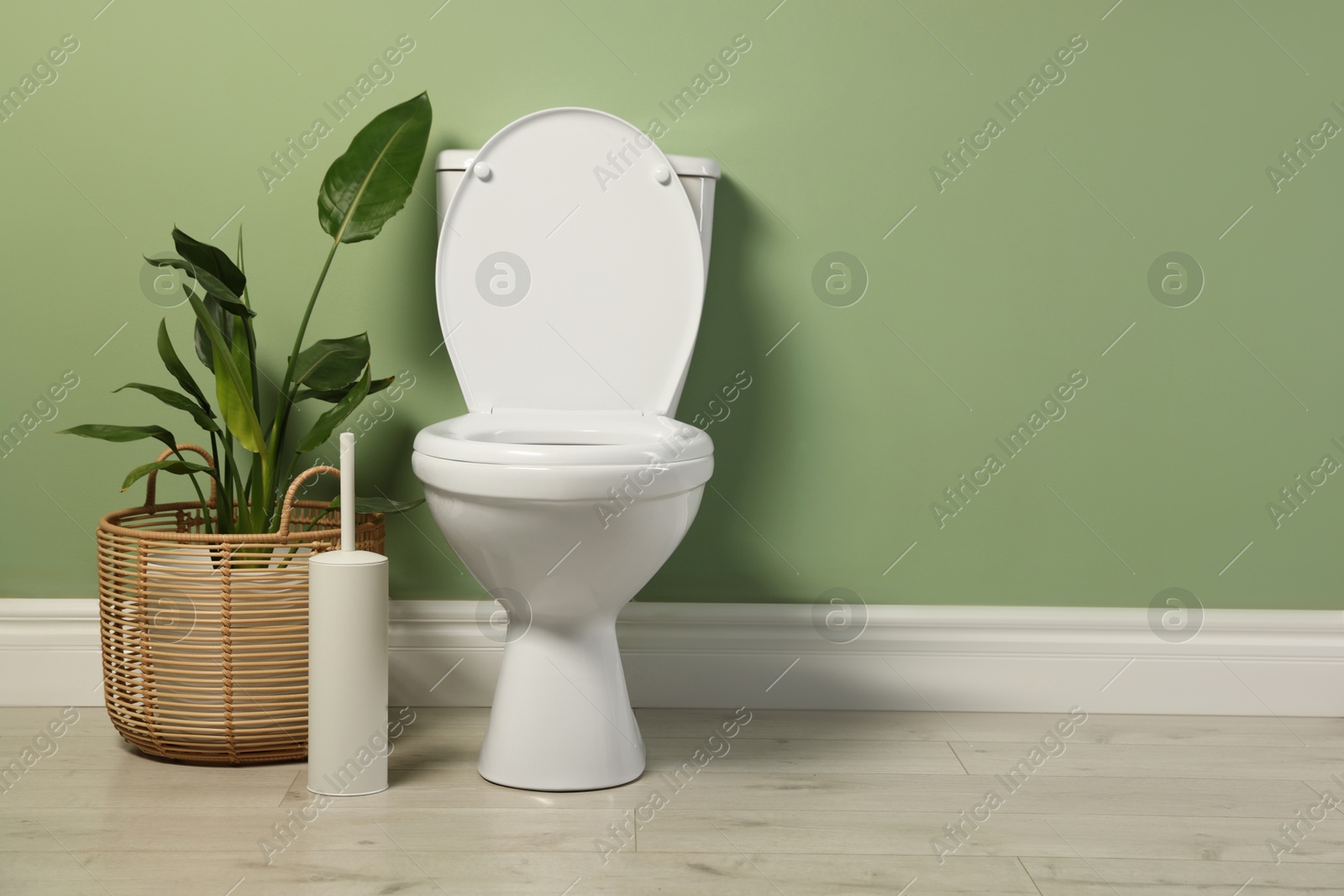 Photo of White toilet bowl and houseplant near green wall indoors, space for text