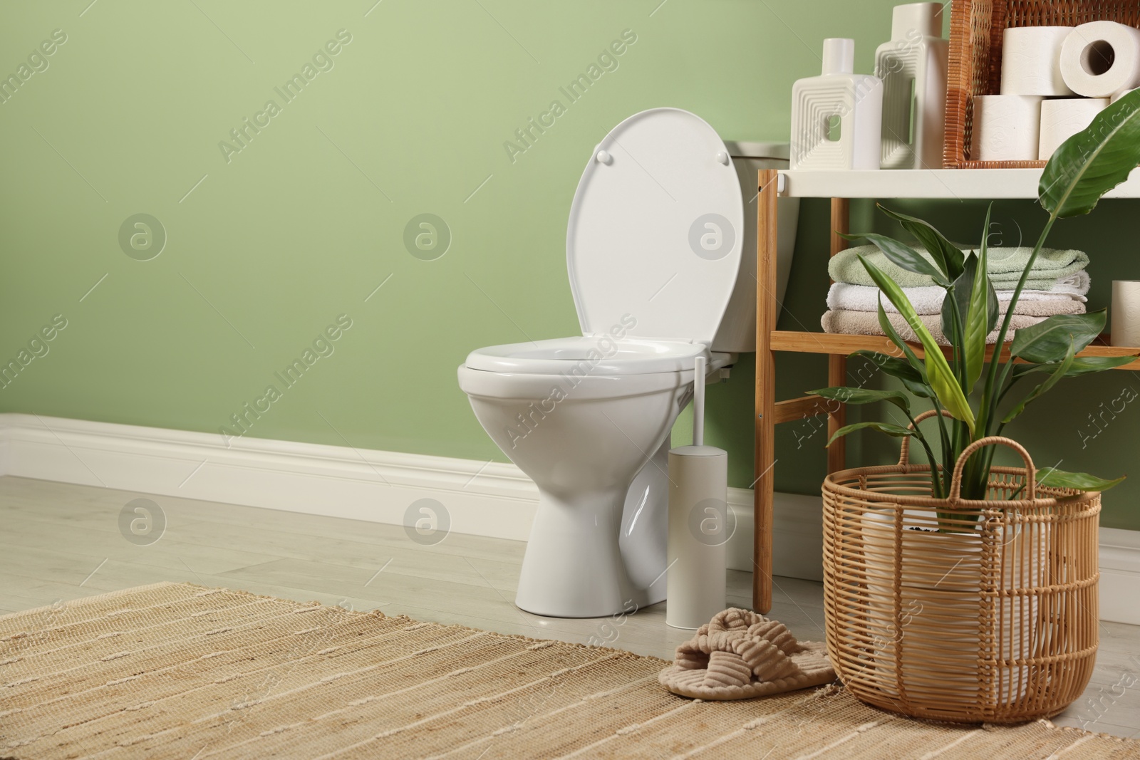 Photo of White toilet bowl, paper rolls, slippers and houseplants in bathroom, space for text