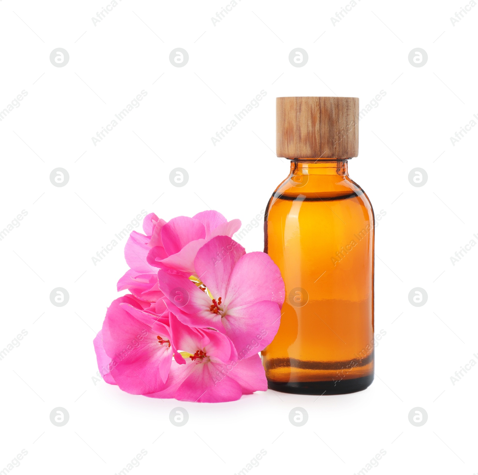 Photo of Geranium essential oil in bottle and beautiful flowers isolated on white