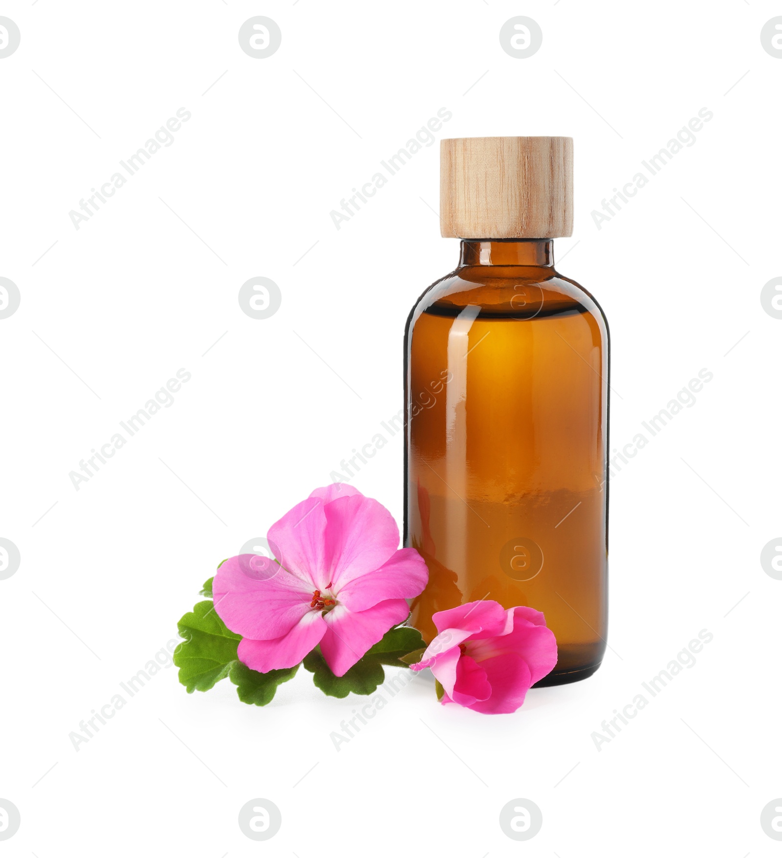 Photo of Geranium essential oil in bottle and beautiful flowers isolated on white