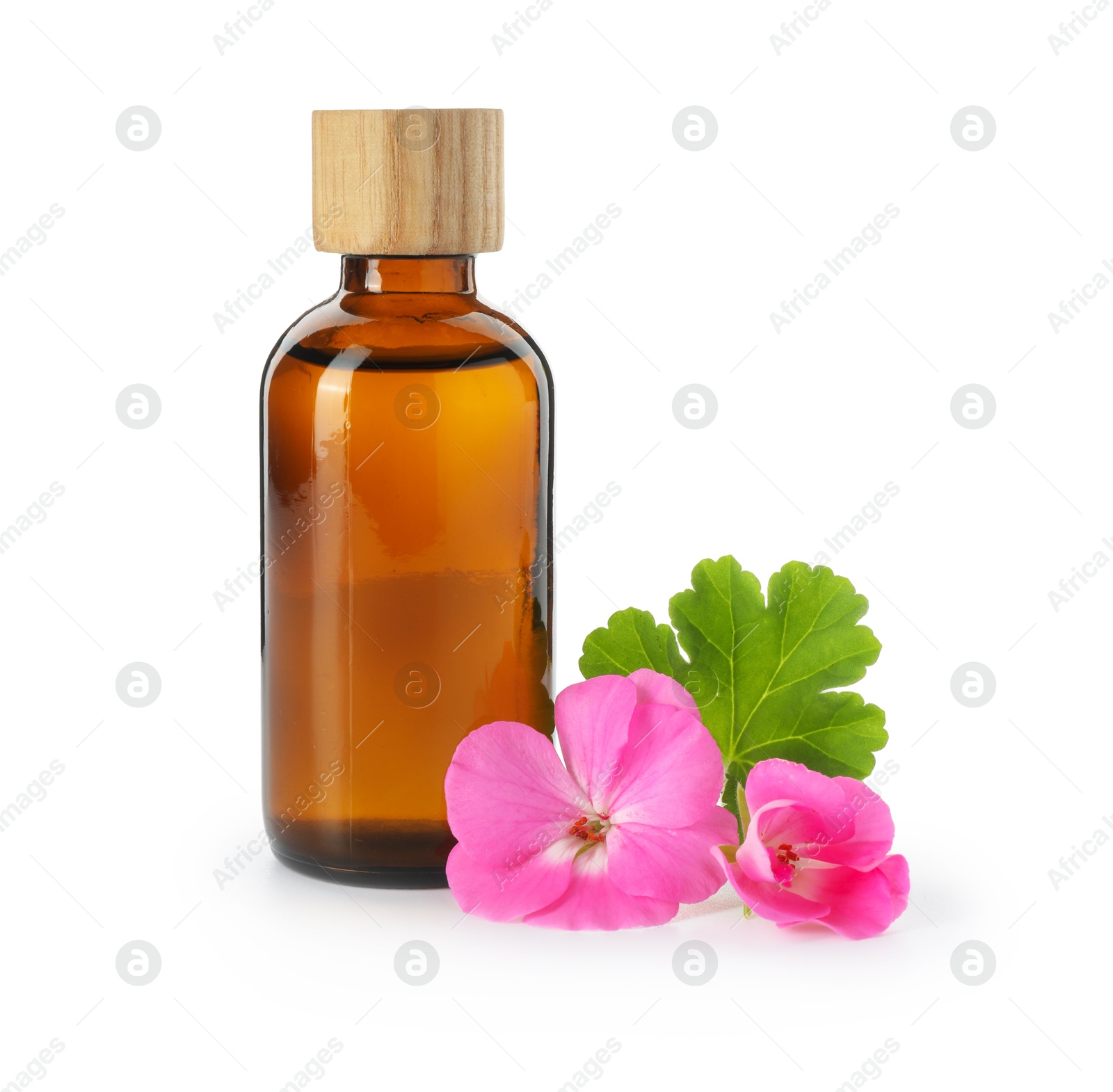 Photo of Geranium essential oil in bottle and beautiful flowers isolated on white