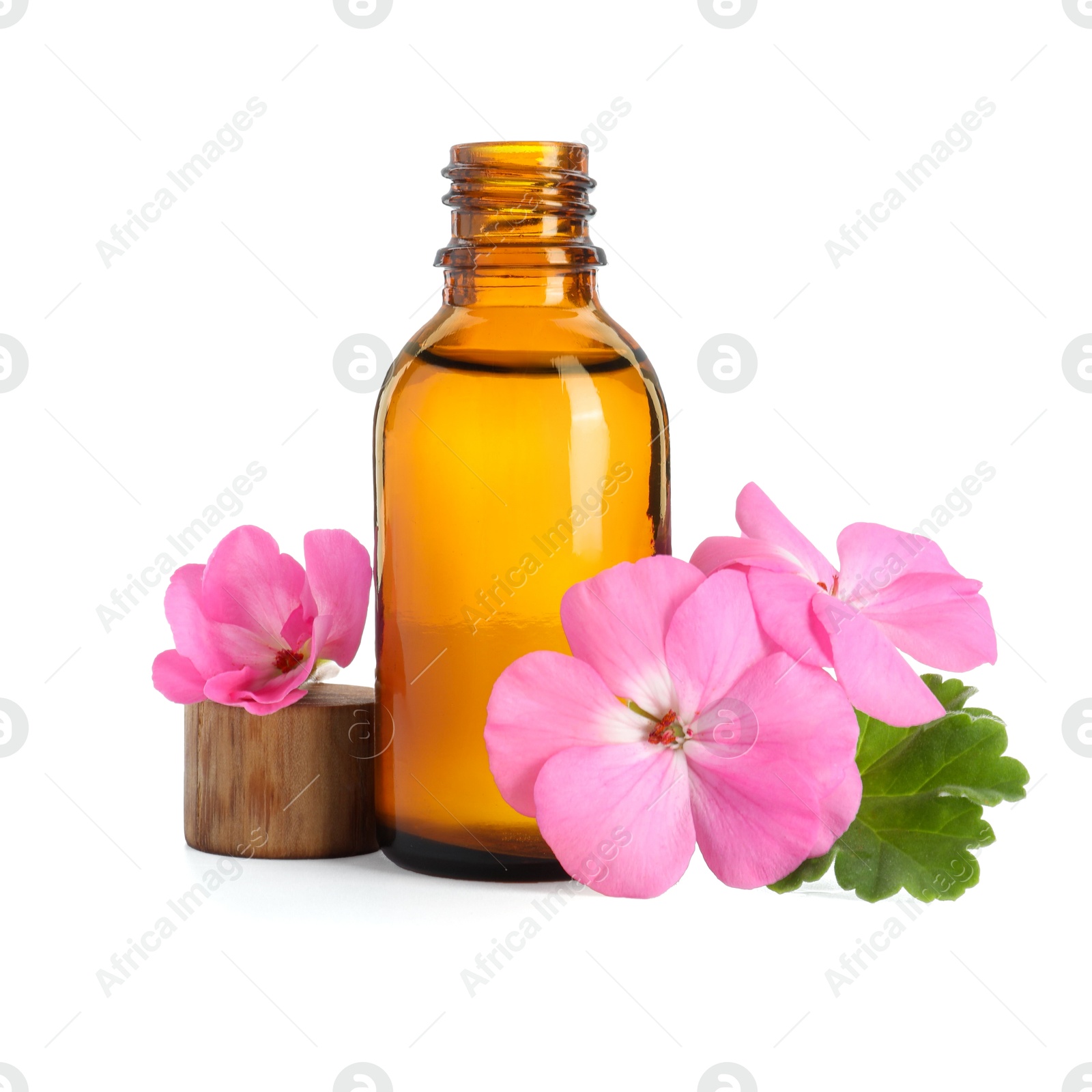 Photo of Geranium essential oil in bottle and beautiful flowers isolated on white