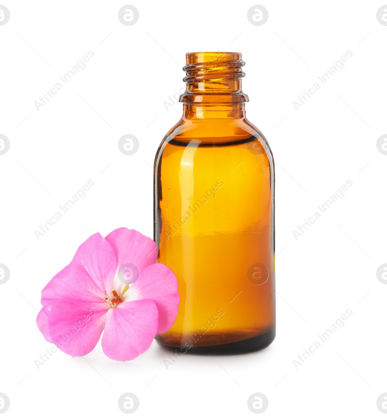 Photo of Geranium essential oil in bottle and beautiful flower isolated on white