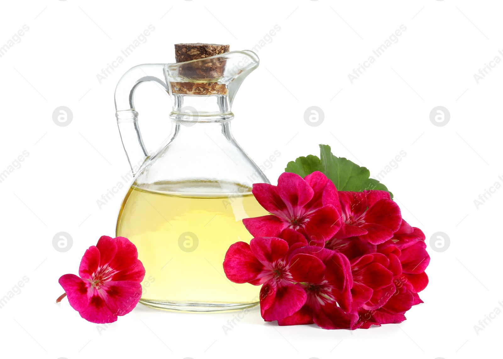 Photo of Geranium essential oil in jug and beautiful flowers isolated on white