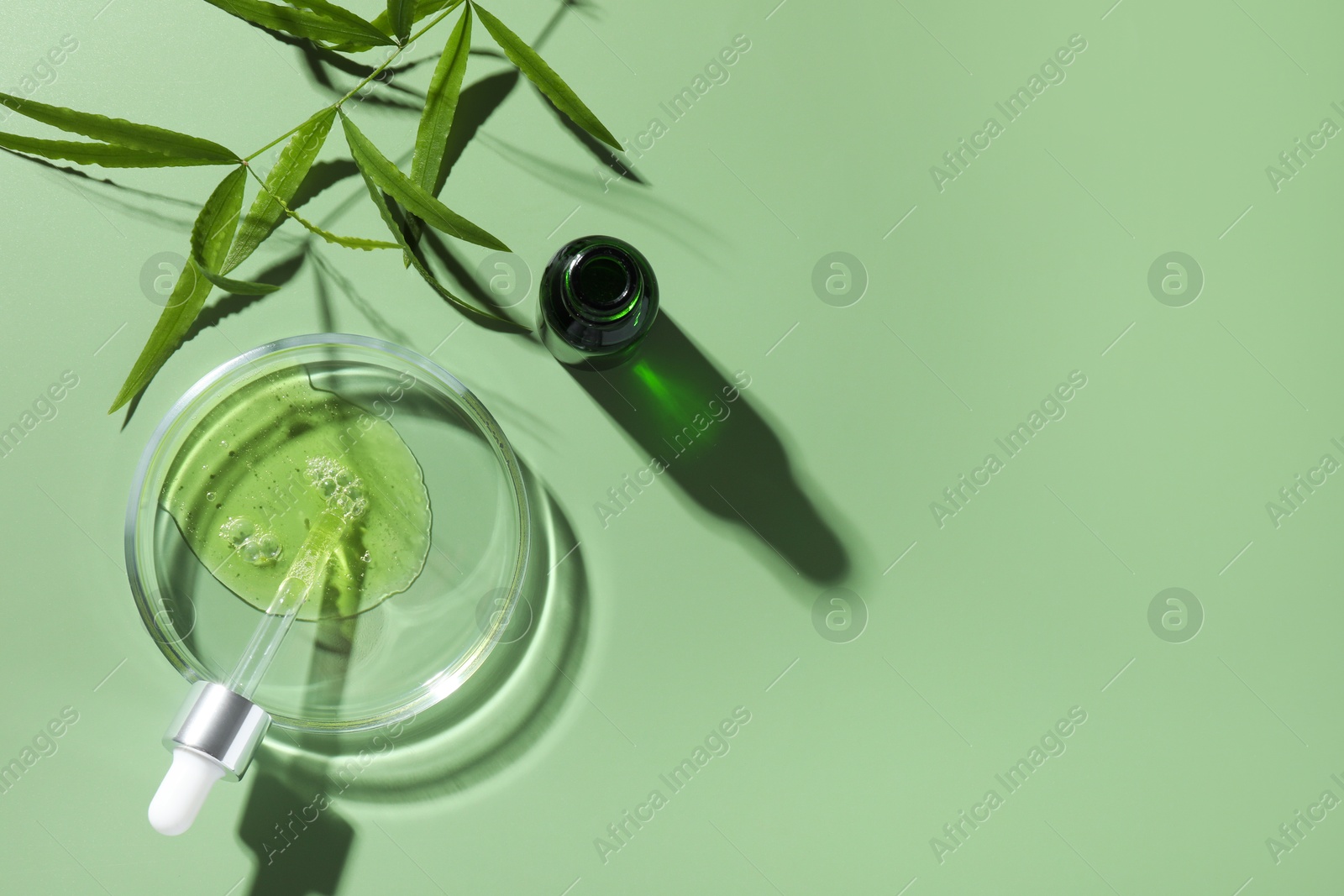 Photo of Petri dish with cosmetic product, bottle, pipette and leaves on green background, flat lay. Space for text