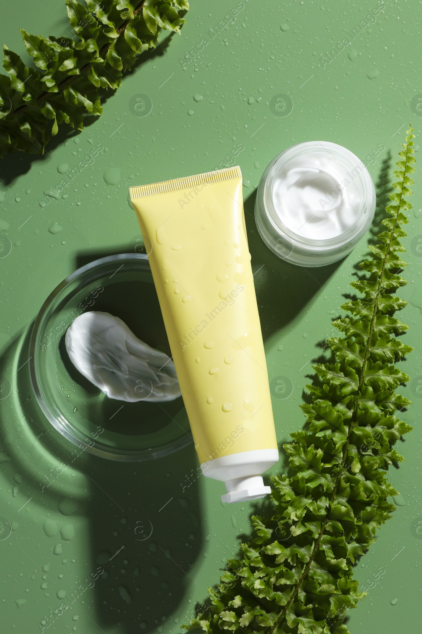 Photo of Petri dish with cosmetic products and fern leaves on green background, flat lay