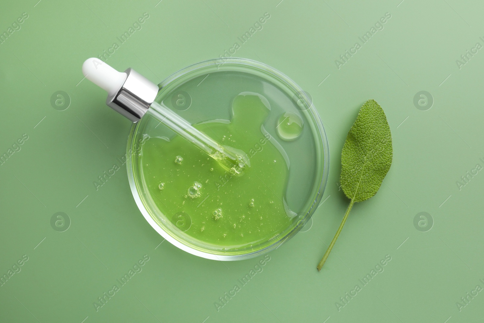 Photo of Petri dish with cosmetic product, pipette and leaf on green background, flat lay