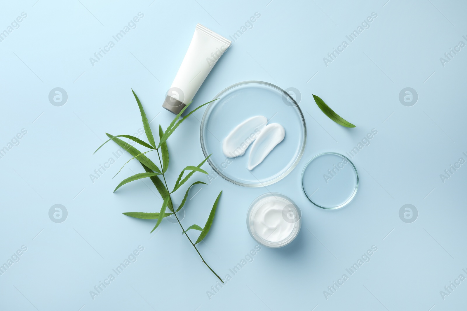 Photo of Petri dishes with cosmetic product and leaves on light blue background, flat lay