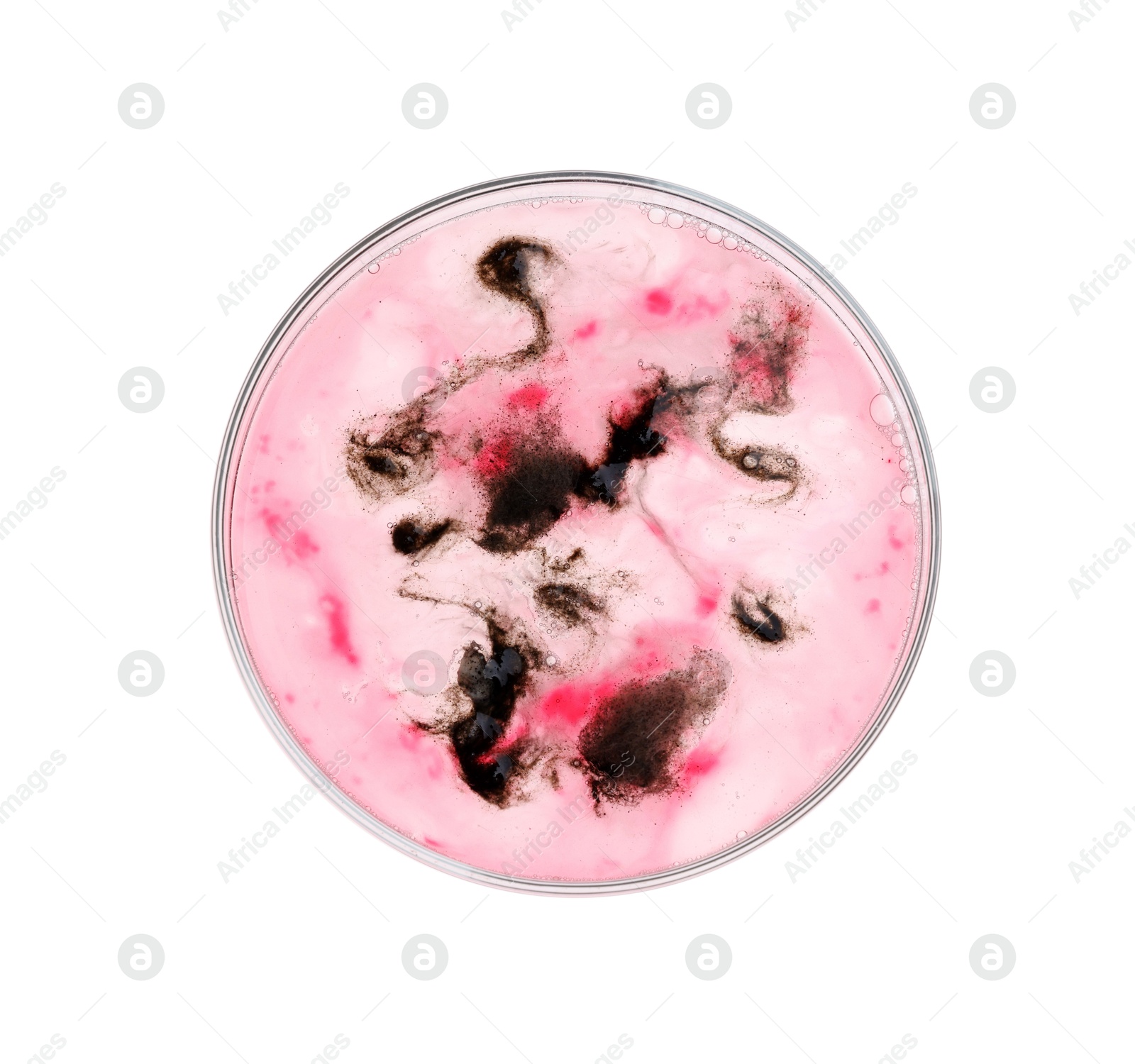 Photo of Petri dish with bacteria isolated on white, top view