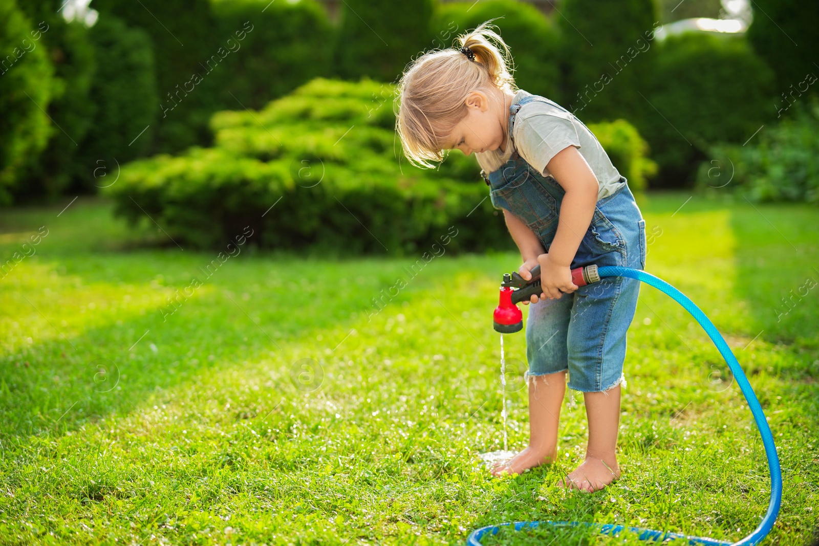 Photo of Little girl watering green grass on lawn in backyard, space for text