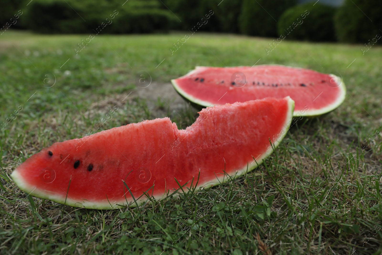 Photo of Cut juicy watermelon on green grass outdoors