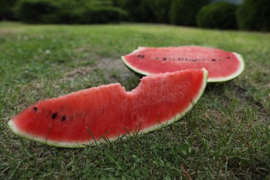 Photo of Cut juicy watermelon on green grass outdoors