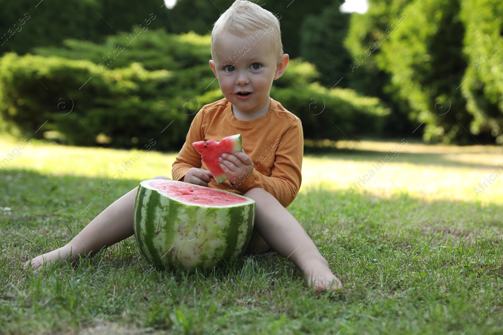 Photo of Cute little baby eating juicy watermelon on green grass outdoors