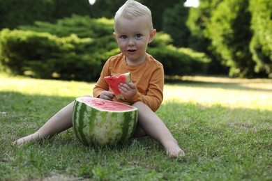 Cute little baby eating juicy watermelon on green grass outdoors