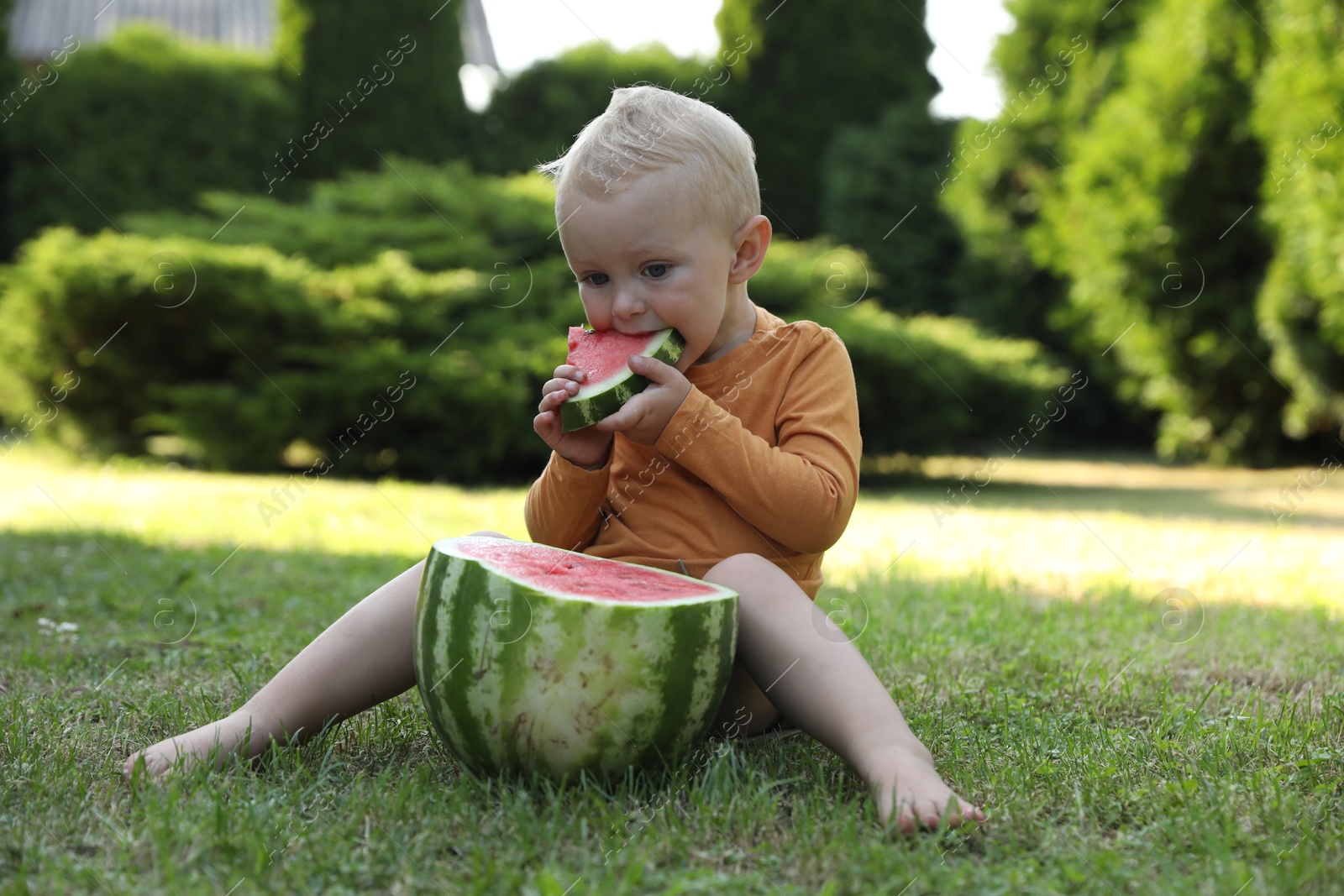 Photo of Cute little baby eating juicy watermelon on green grass outdoors