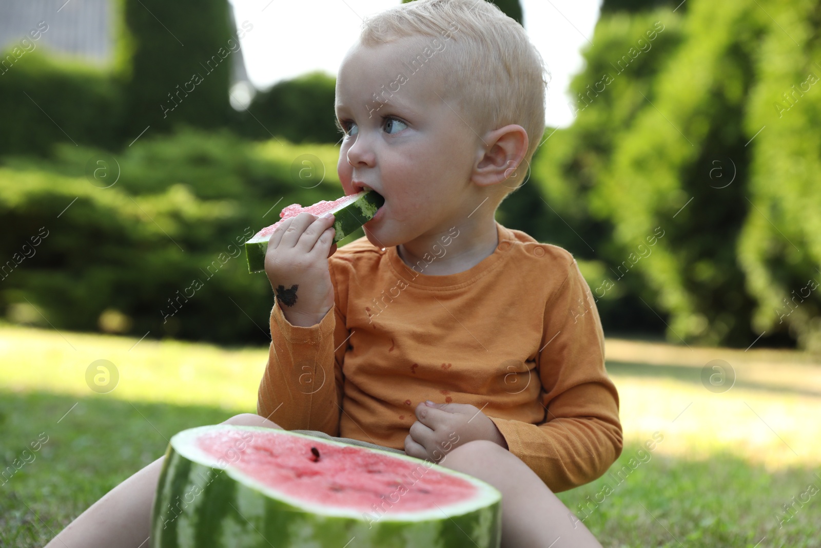 Photo of Cute little baby eating juicy watermelon on green grass outdoors