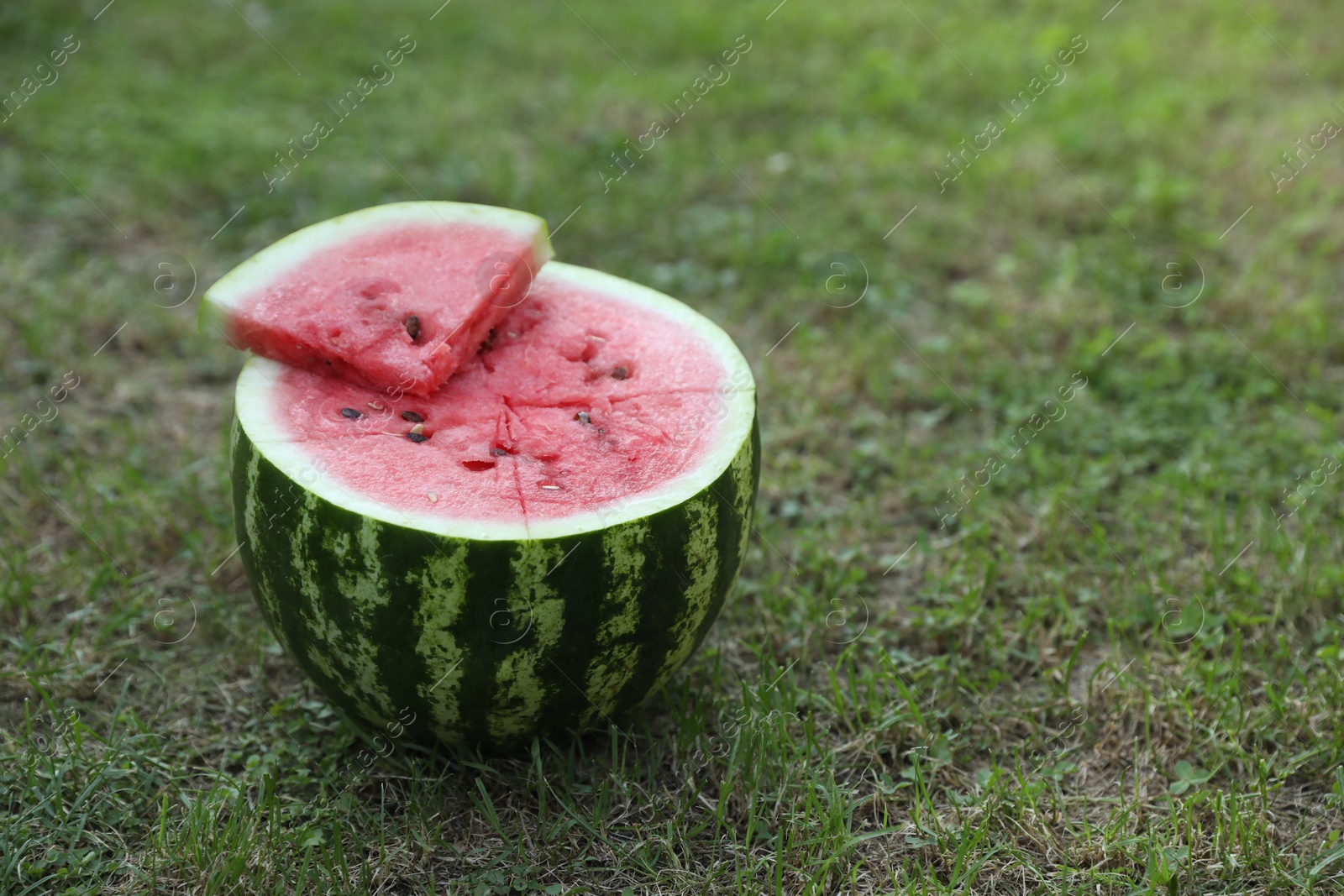 Photo of Cut juicy watermelon on green grass outdoors