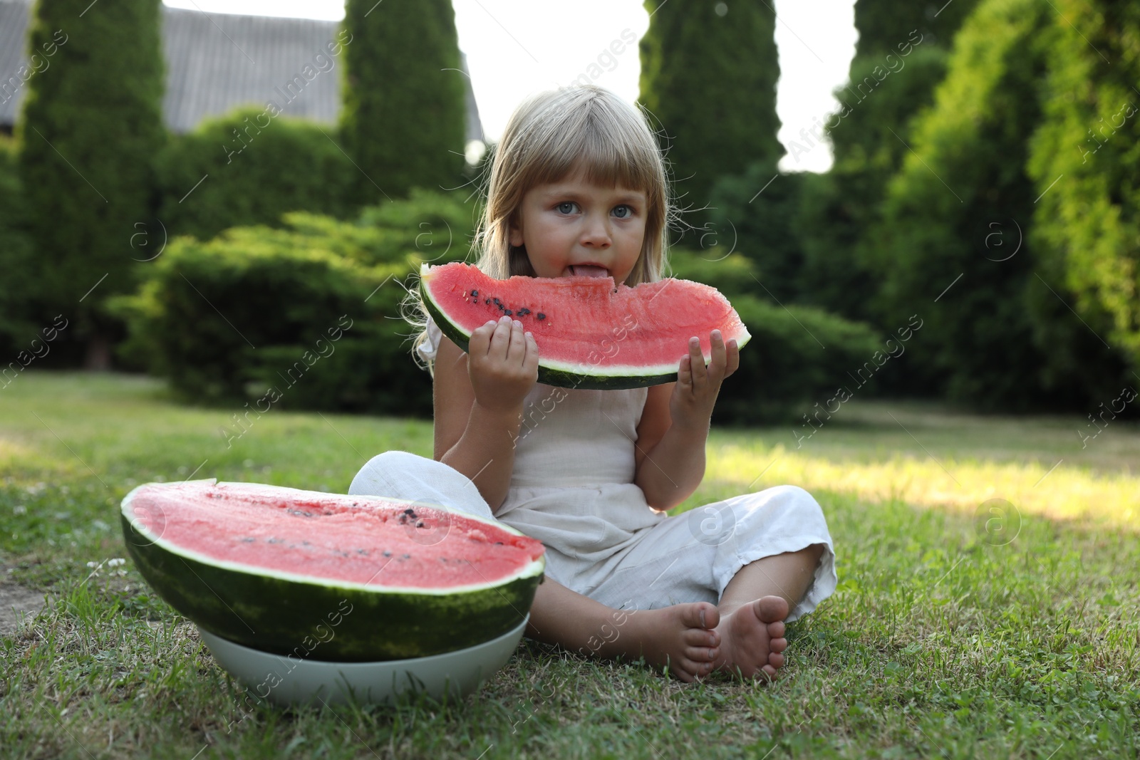 Photo of Cute little girl eating juicy watermelon on green grass outdoors