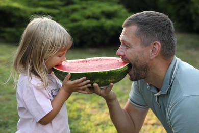 Photo of Man and his cute daughter eating juicy watermelon outdoors together